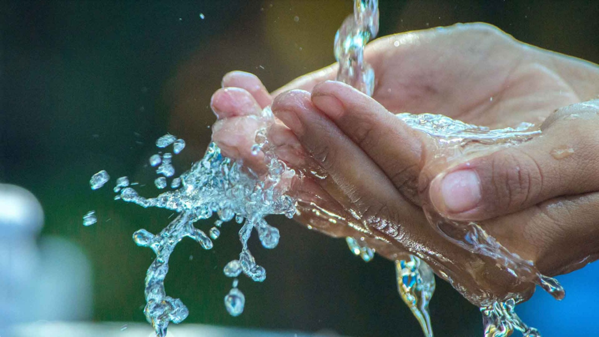 Welcome to Water Oasis